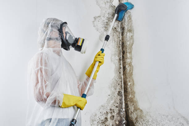 Best Mold Testing  in Washington, IA