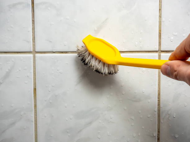Office Mold Removal Services in Washington, IA
