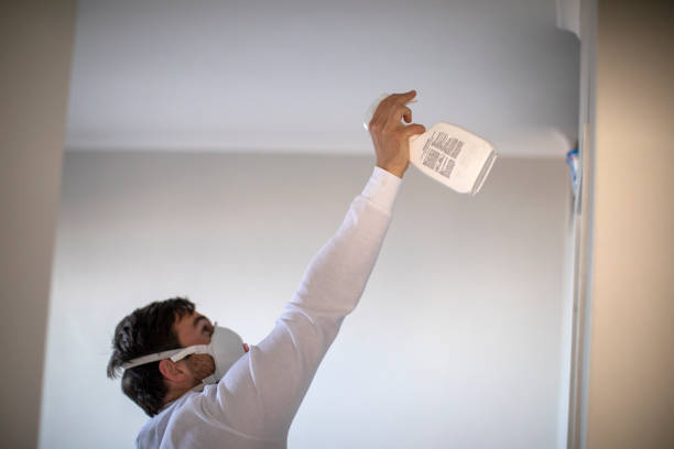 Best Mold Remediation Experts  in Washington, IA