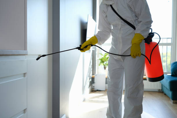 Best Attic Mold Removal  in Washington, IA