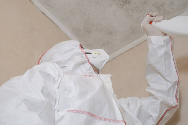 Best Mold Removal Company Near Me  in Washington, IA